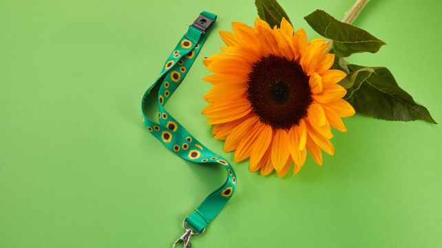 Brent Homan: The power of a sunflower