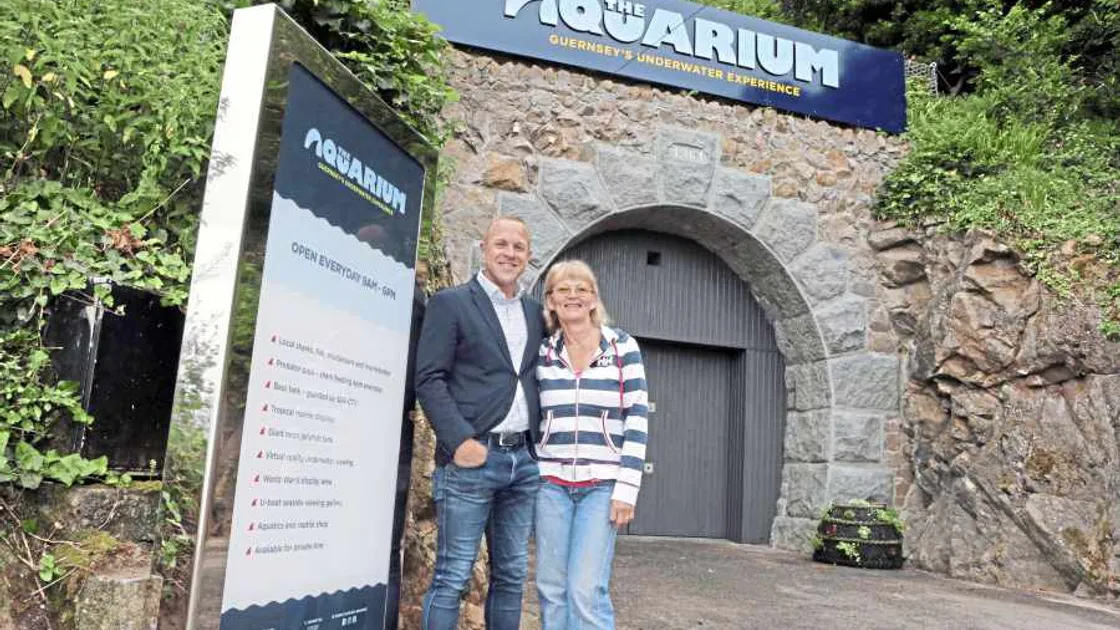 Aquarium back with a new look
