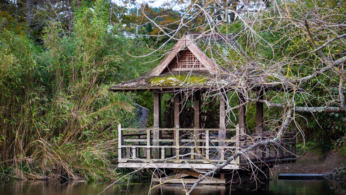 The pagoda at Saumarez Park has been closed to the public due to its poor condition. (Picture by Peter Frankland, 26749557)
