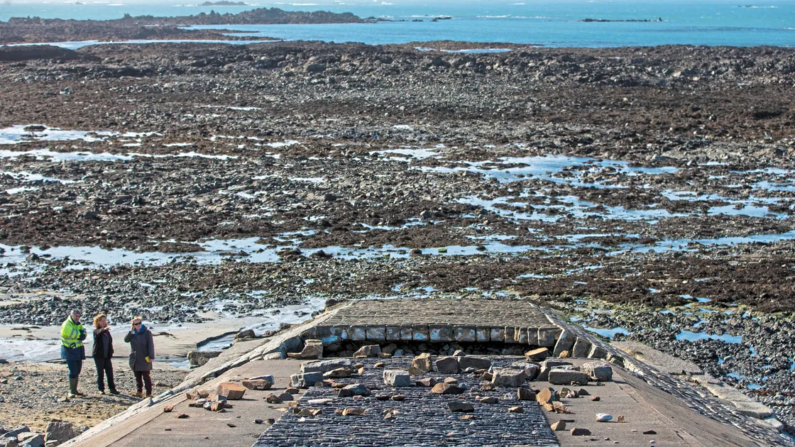 (Picture by Peter Frankland, 24103317)