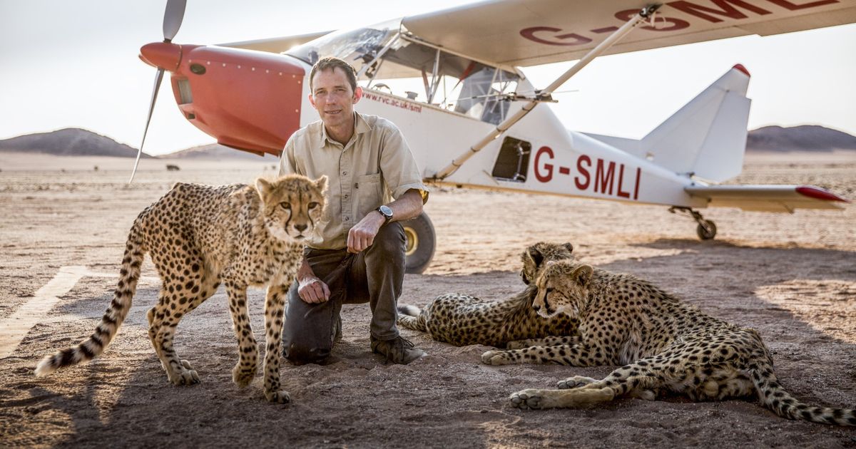 ‘It’s a nice mix of skills,’ says vet who built his own plane