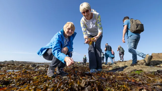 Lihou ‘field trip’ for Inter-Island Environment Meeting