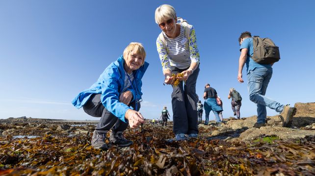 Lihou ‘field trip’ for Inter-Island Environment Meeting