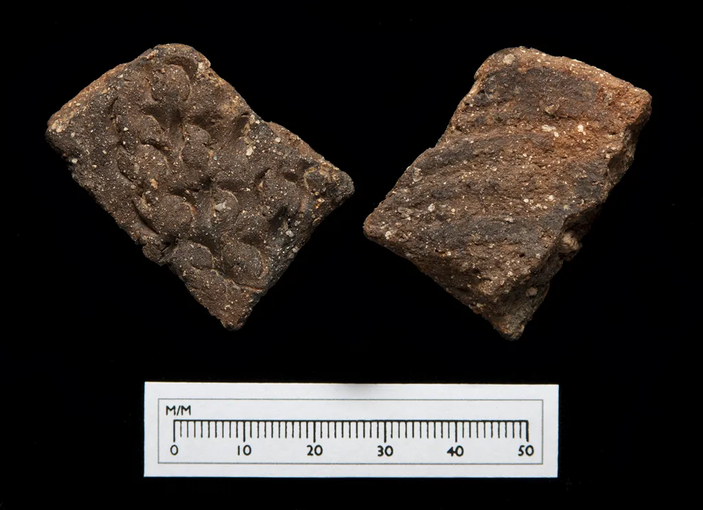 Neolithic pottery found during excavations in Herm
