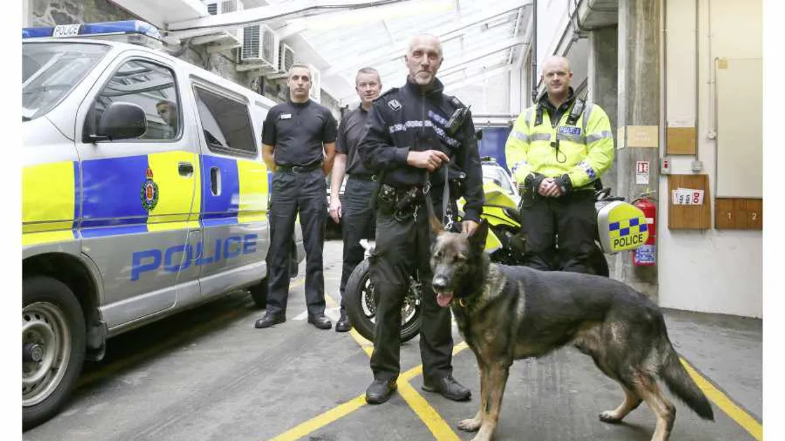 Traffic hit squad will target law breakers