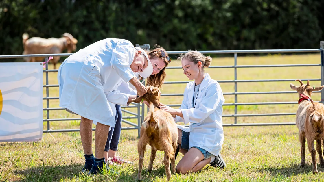 About 40 goats were on show