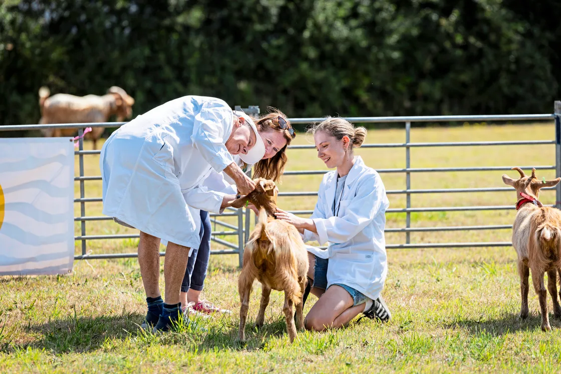 About 40 goats were on show