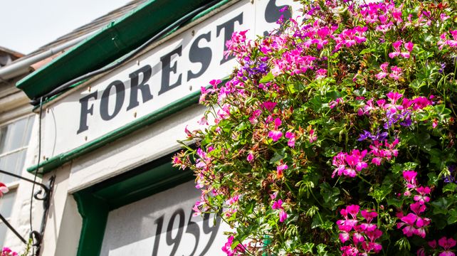 Battle for flowers as Floral Guernsey fights for survival