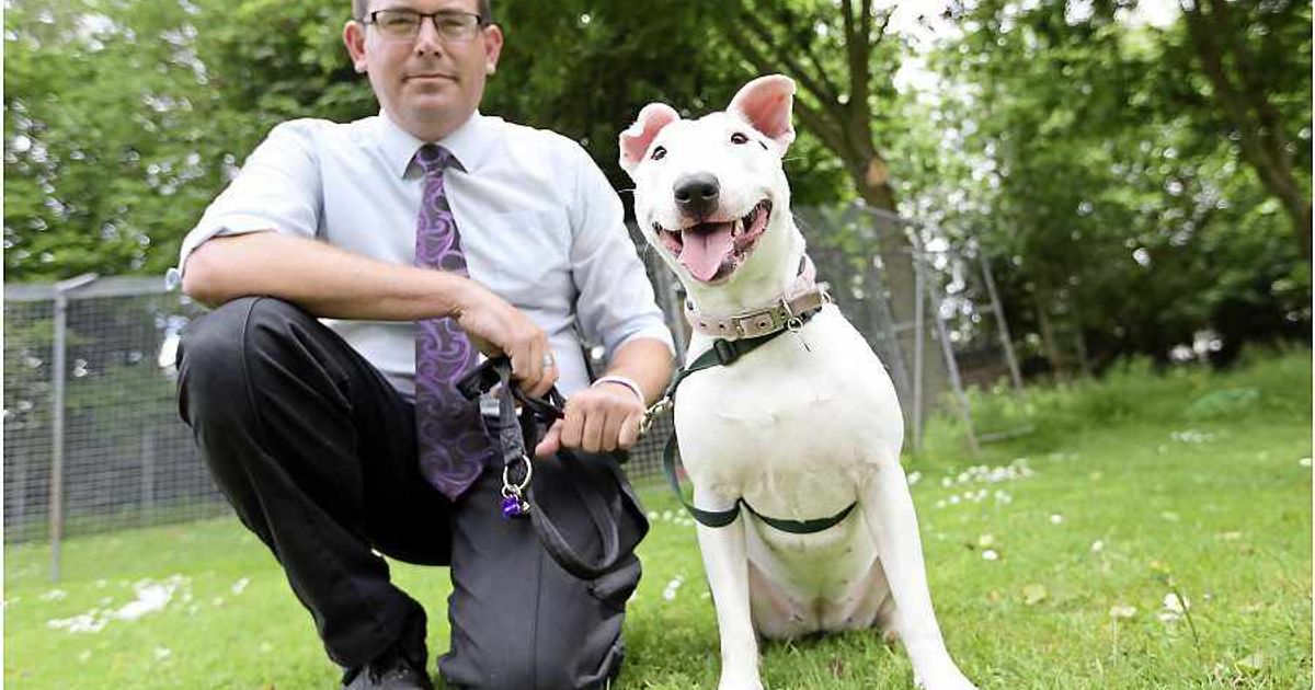 Look closer to home, urges the GSPCA