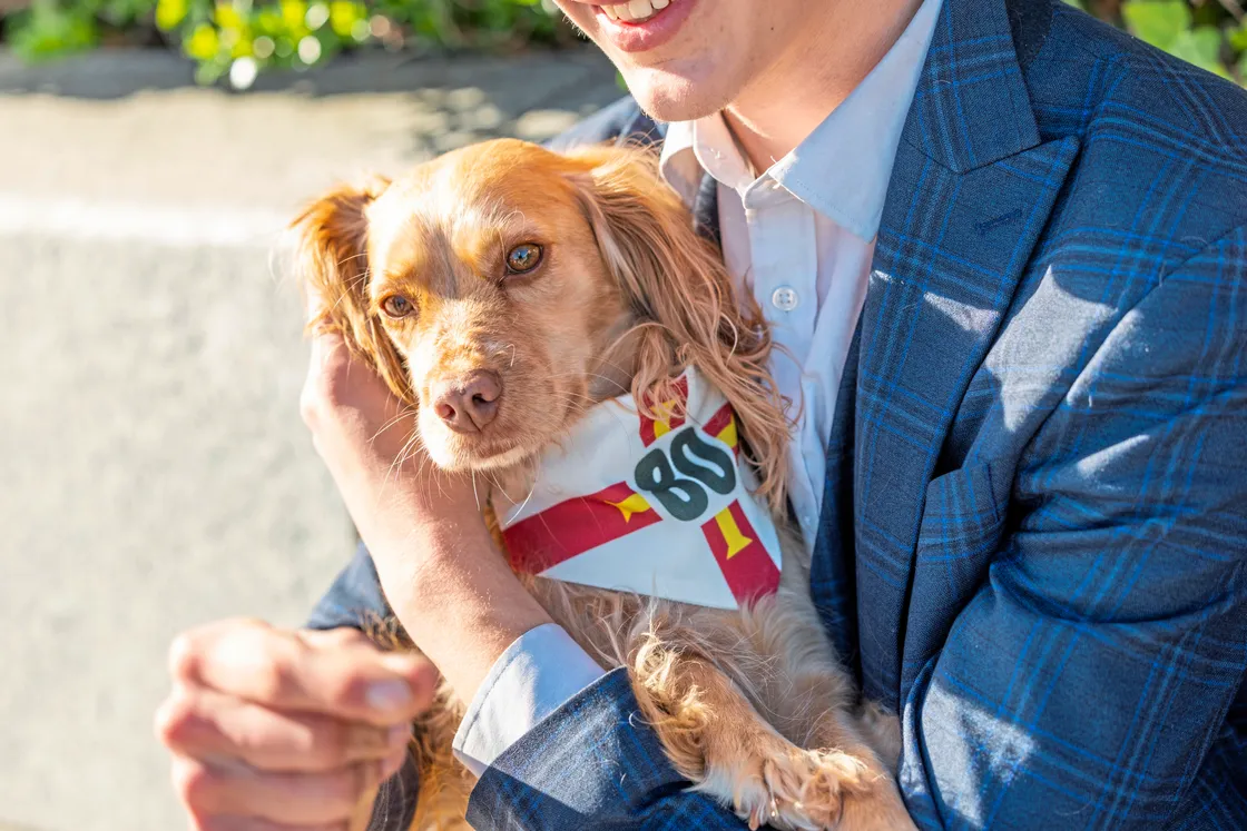 The bandannas can be adjusted depending on the size of dog.