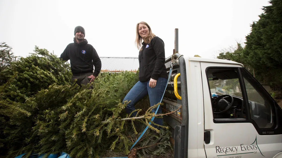 The Accidental Zoo’s Ryan and Charlotte Le Guilcher will collect Christmas trees for a fee to be spent on the car of the animals and will also use the trees on their Castel site. (Picture by Adrian Miller, 29067555)