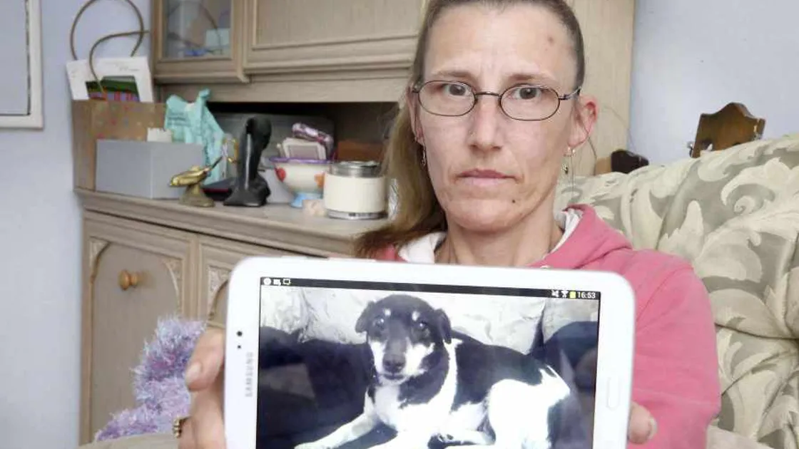 Dog stranded at airport 'due to oversight'