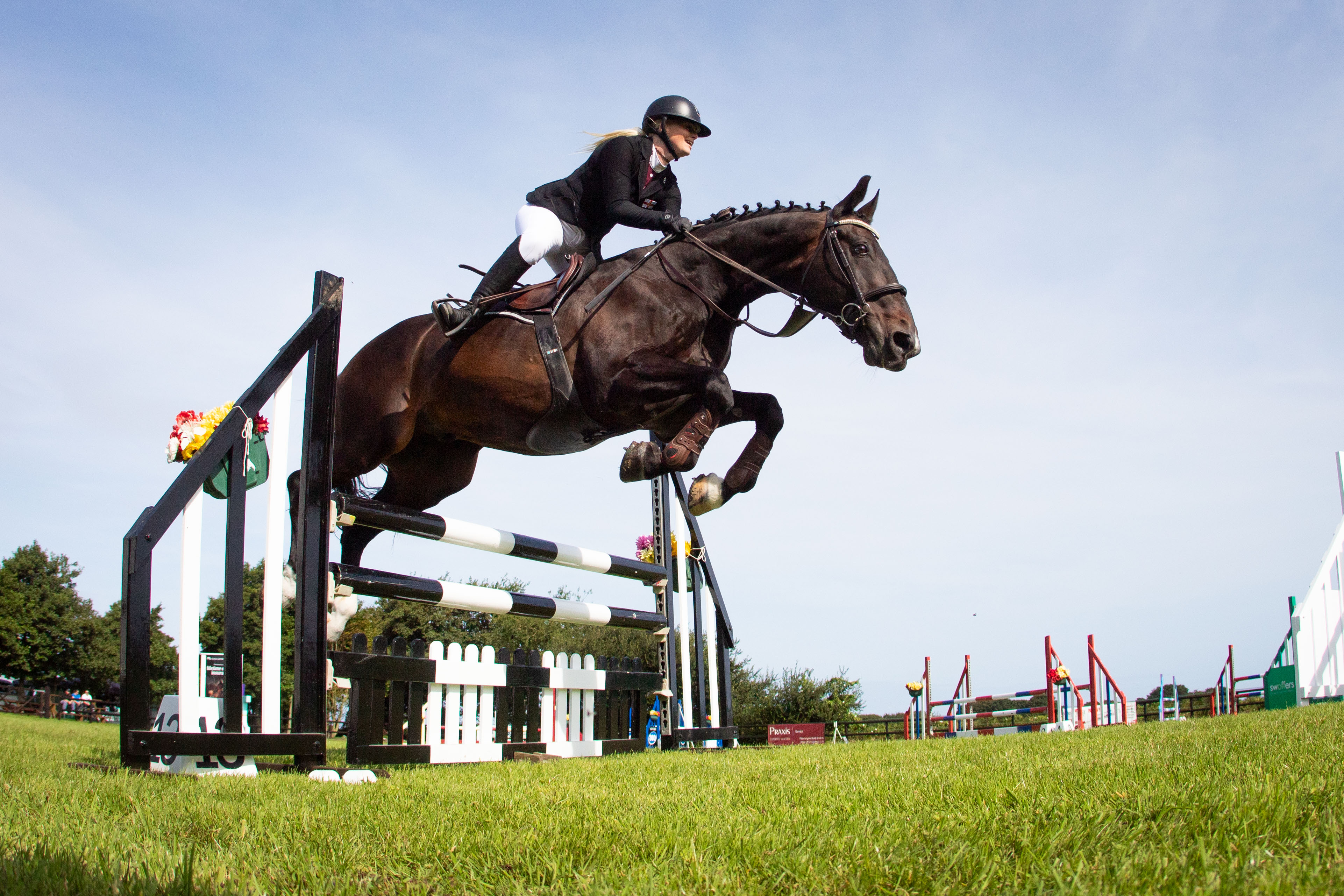 Locals to take centre stage at Horse of the Year Show