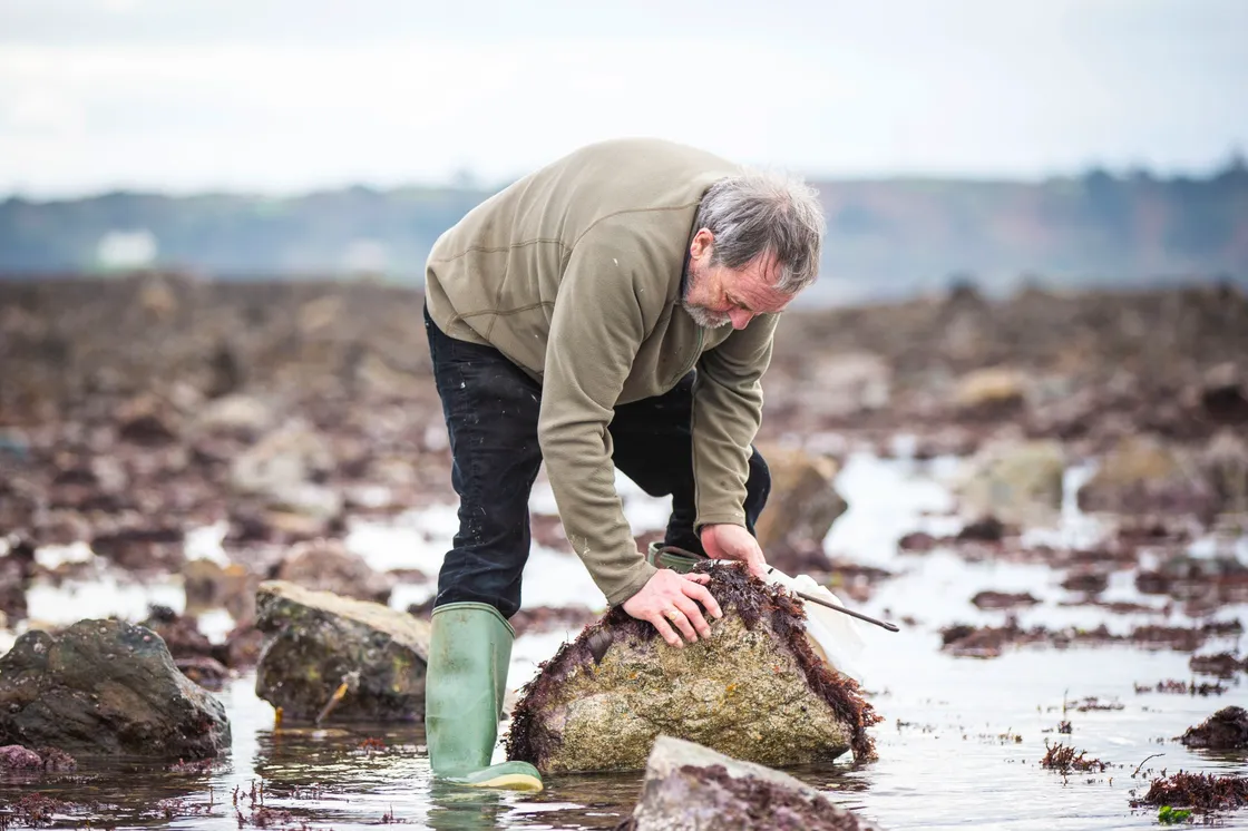 John Rouillard, 71. (26863644)