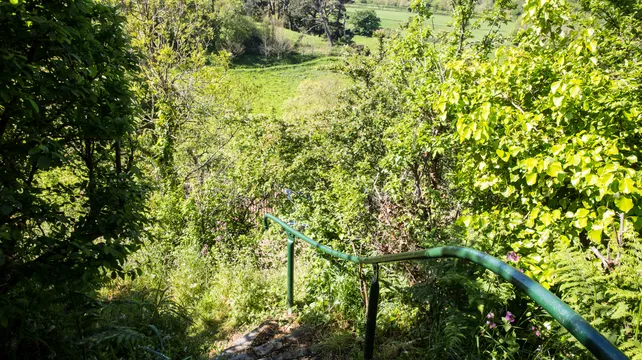 National Trust estimates cost of storm clear-up at £10,000