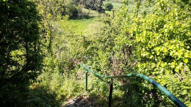 National Trust estimates cost of storm clear-up at £10,000