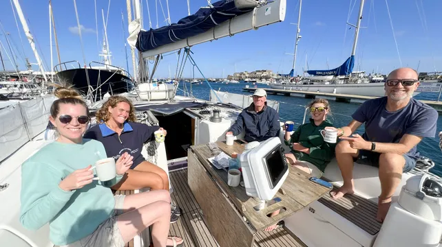 Dolphins prevalent in local waters, finds sailboat survey