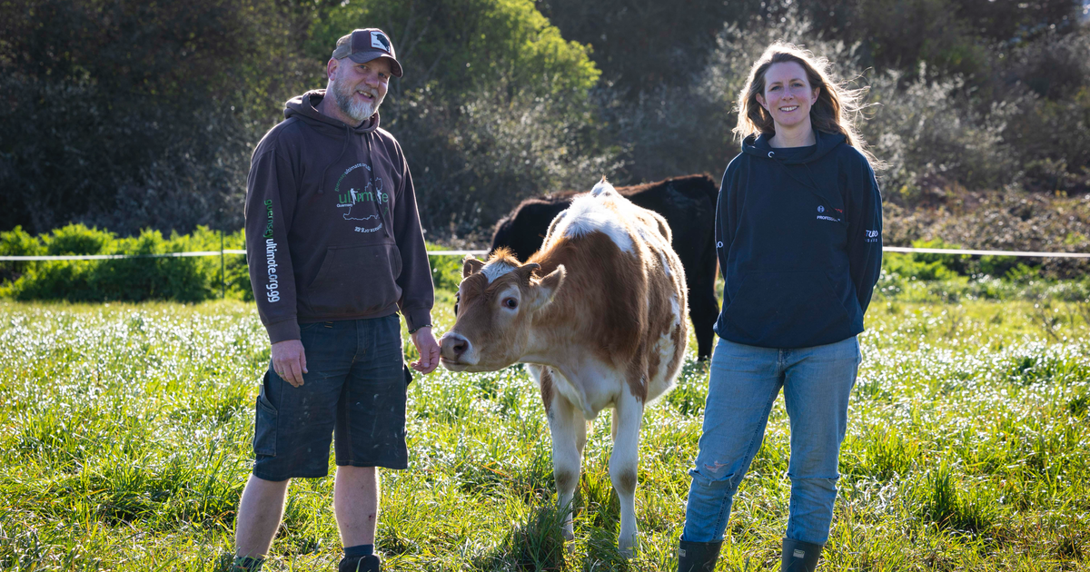 Soil Farm looking to share ideas with Europe’s top farms