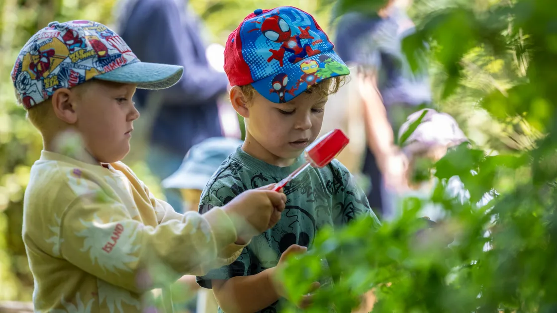 Children from Little Cottage Daycare are among those who have taken part in the outdoor activities as part of the Health Improvement Commission’s Go Wild project.