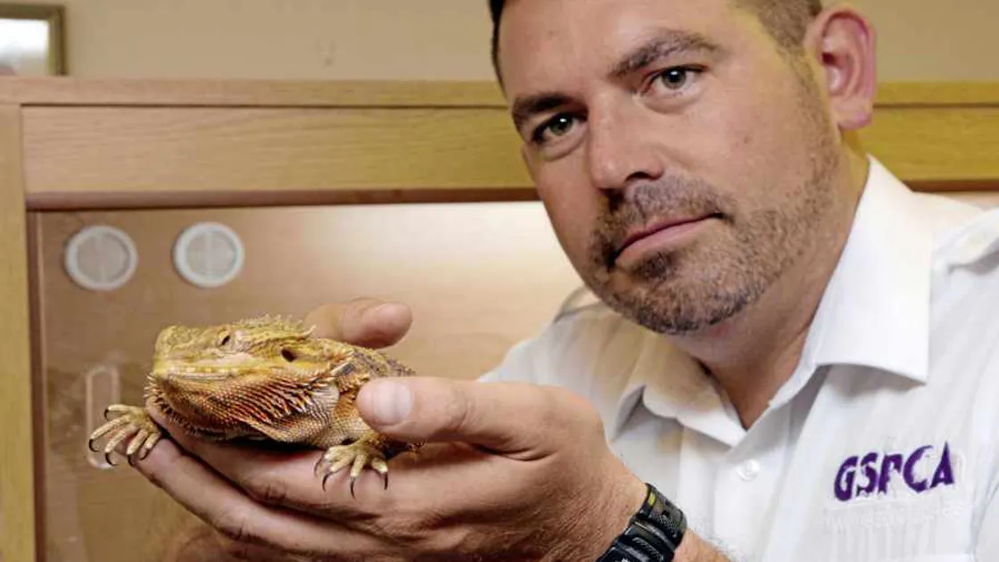 'I have never seen living pet reptiles so emaciated'