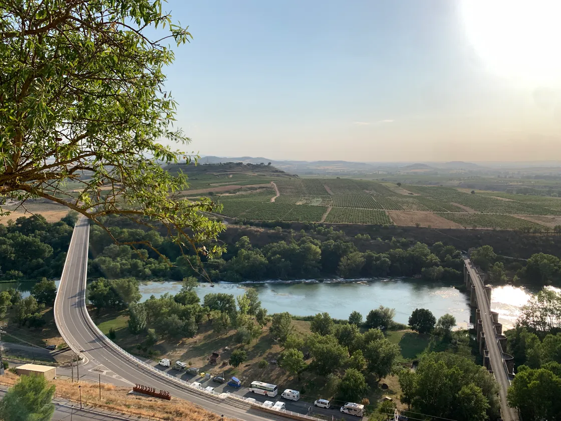 Almost nothing but vines in this part of Rioja, prompting the kids to speculate as to how many fields were needed to keep their parents supplied.