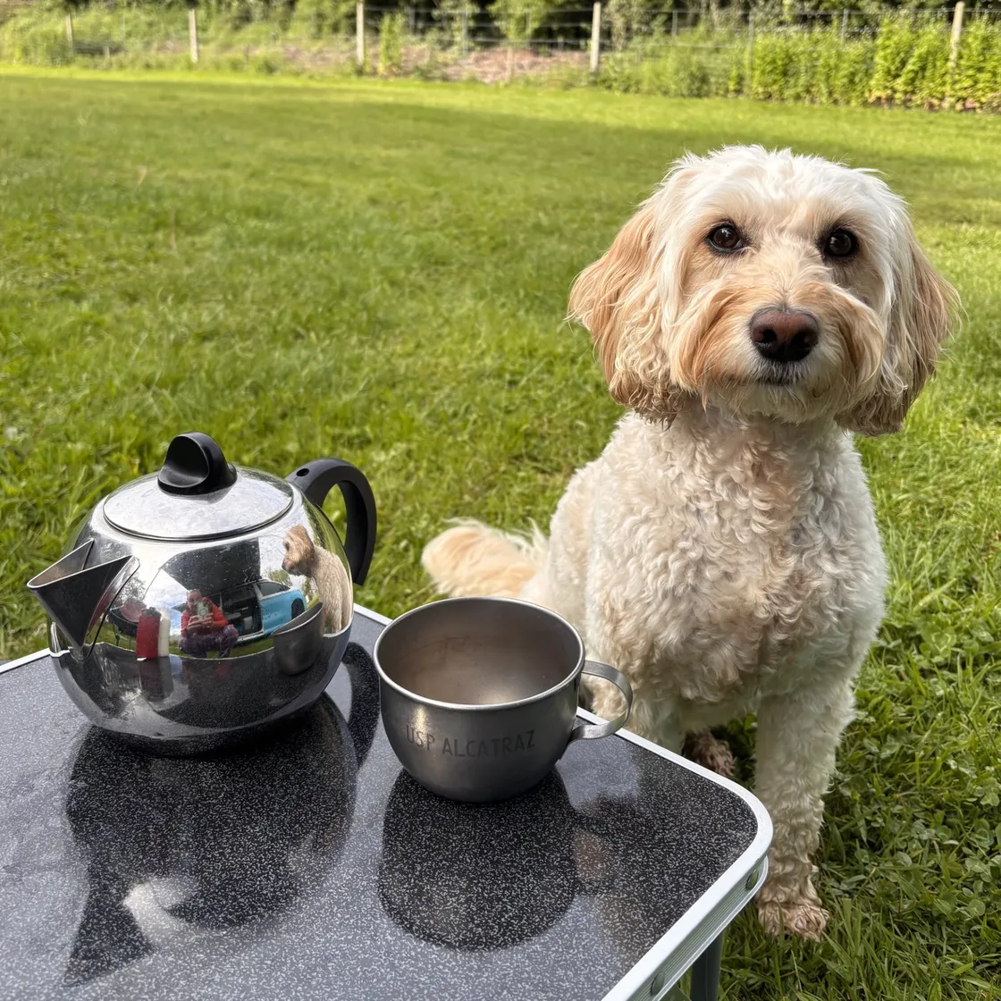 Even with limited space a teapot was a must-have