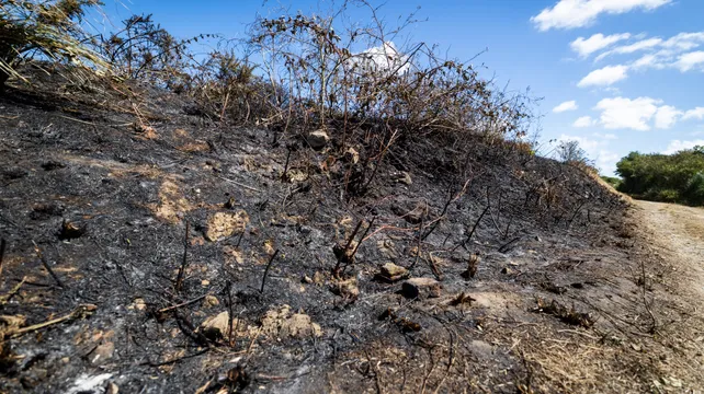 Big blaze at Fontaine Vinery leaves charred scrubland