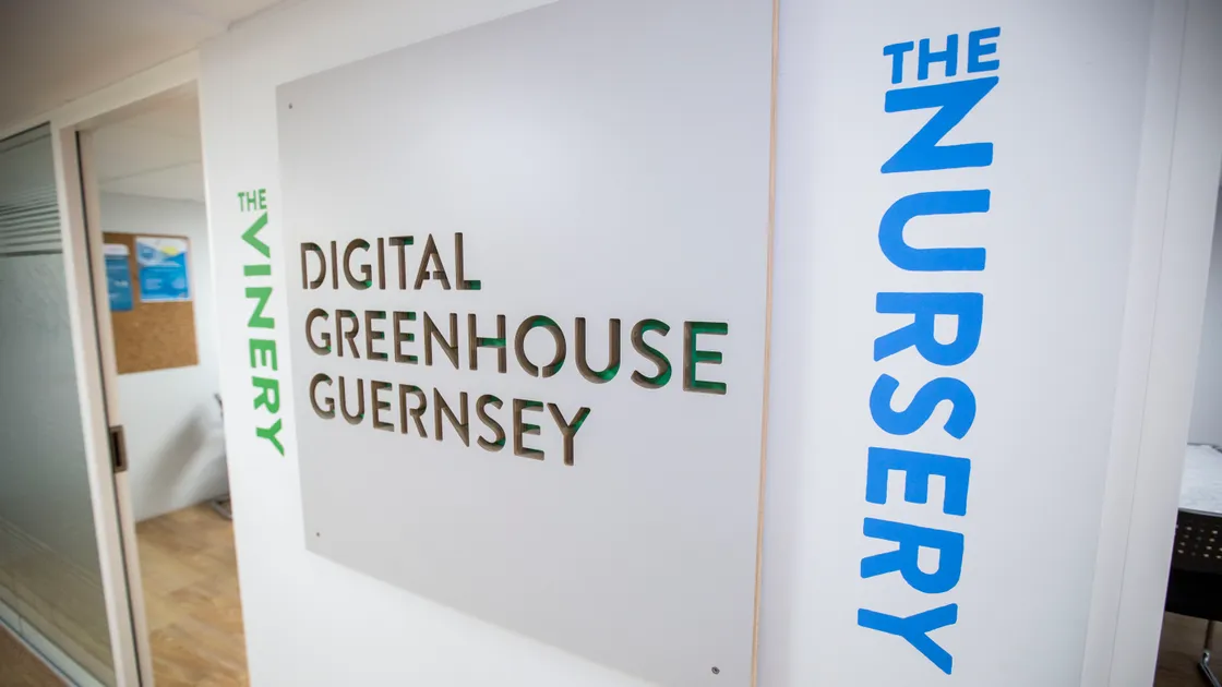Ms Watson said it needed to be recognised that the Digital Greenhouse had some failings. 