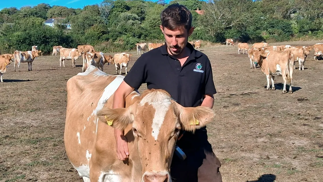 Josh Dorey, one of the island’s largest dairy farmers, with 190 milkers and 100 ‘followers’, admits the drought situation is concerning.