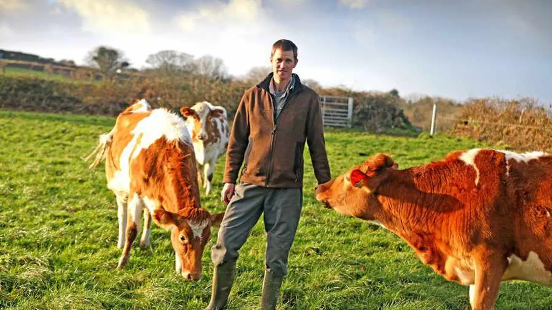 Farmers welcome export licence for slaughterhouse