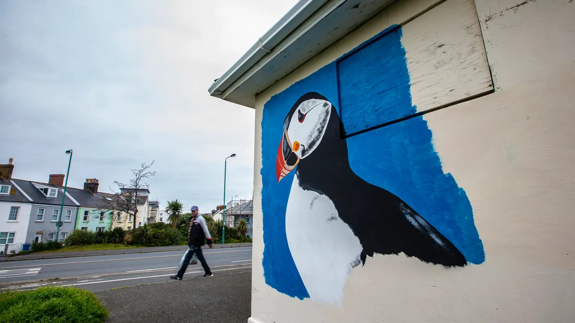 A puffin has been painted on the side of the bus shelter at the Halfway. St Sampson’s senior constable Leonie Le Tissier confirmed that it was aware of the artwork before it started this week. (Picture by Peter Frankland, 32048937)