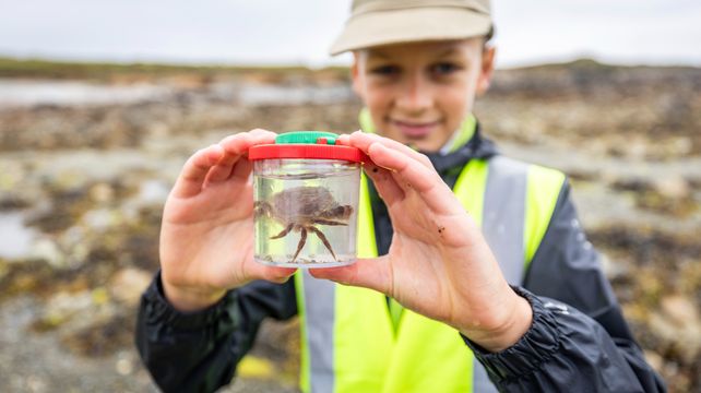Forest and St Mary & St Michael Year 5s have a blast at BioBlitz