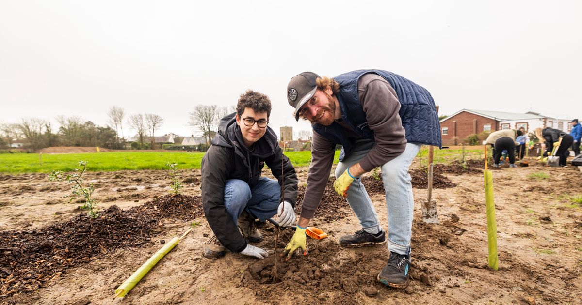 Trees for Styx as digging volunteers get stuck in