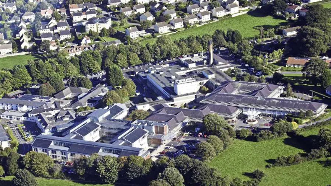 Clinical waste may have 'put public at risk'