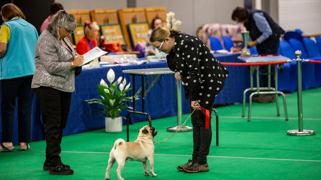 Lynne Symphorien in front of the judge. (Pictures by Sophie Rabey, 31228744)