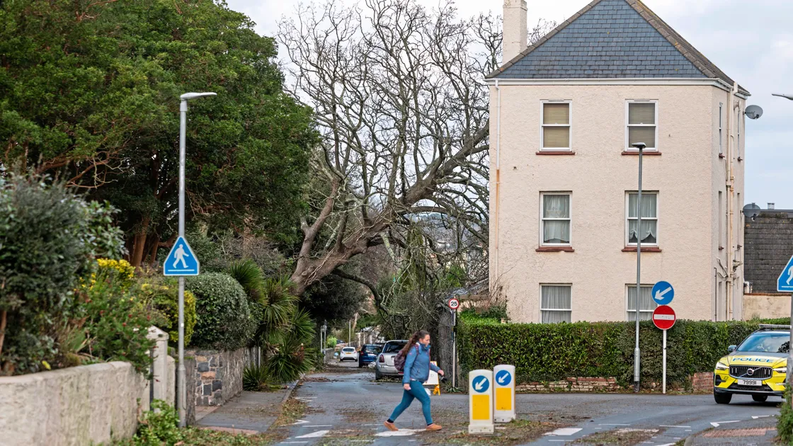 This tree at Amherst ended up on the roof of the house opposite