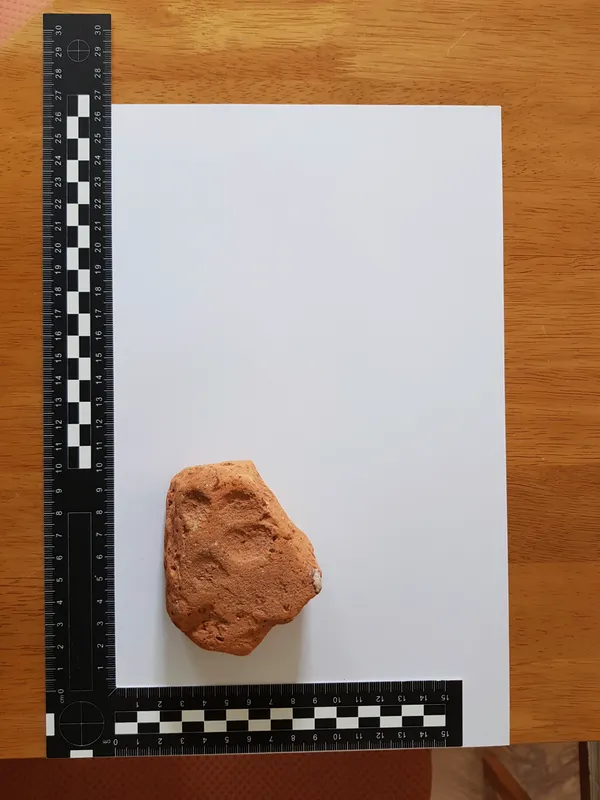 One smaller yet thicker dog paw-printed tile found on Alderney's Longis beach by Nich Hogben, possibly a floor tile.