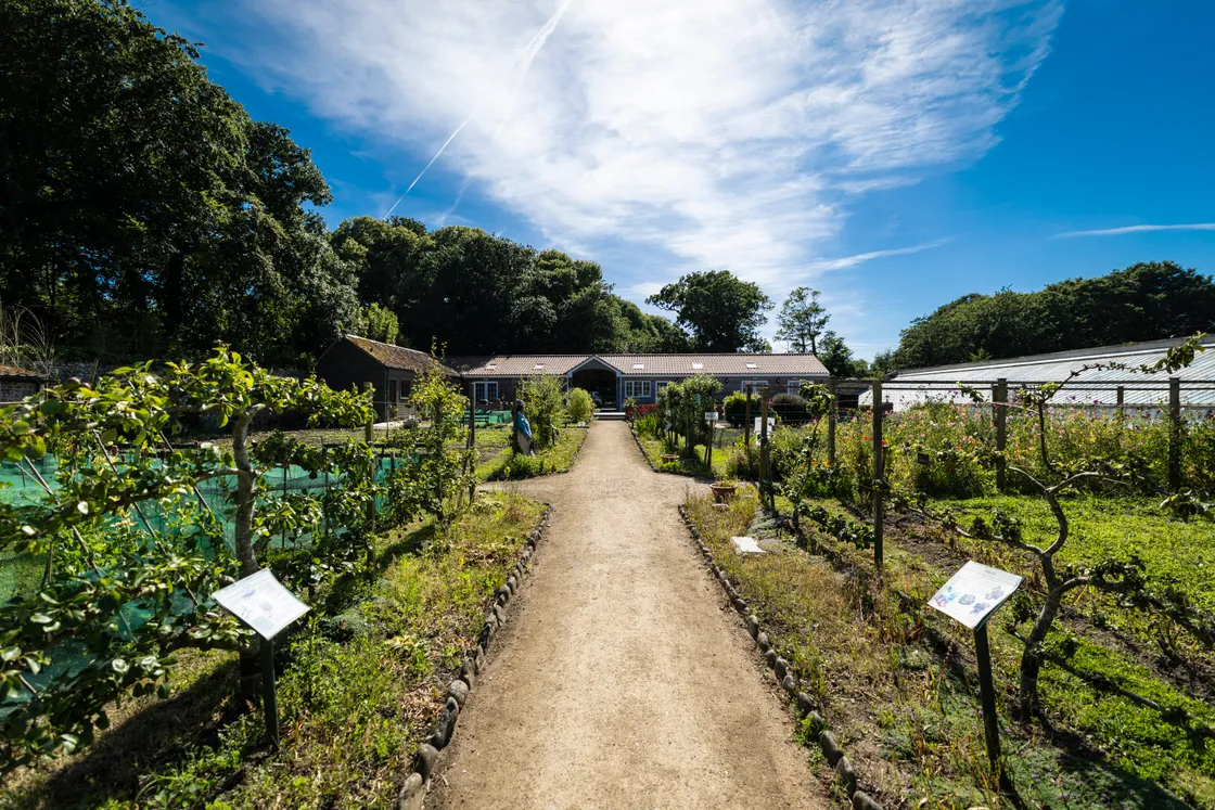 More than 300 different plants are now grown in the garden, including vegetables, fruit, herbs and flowers.