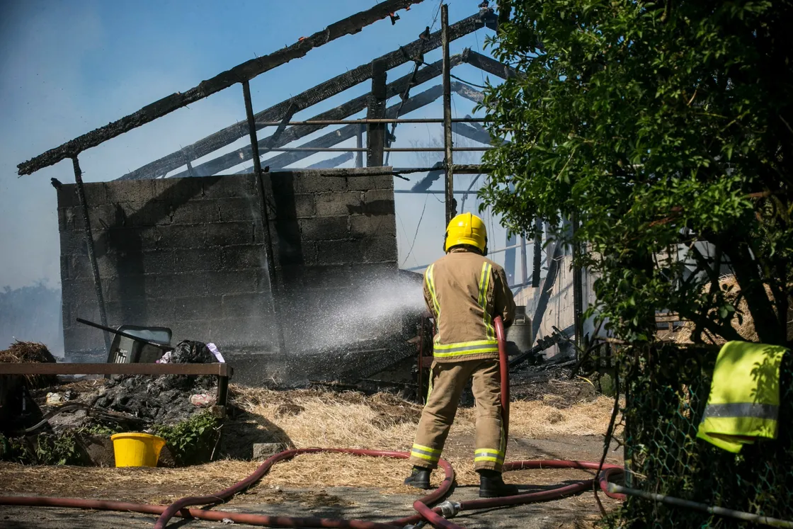 Firefighters damp down after tackling a fire in a large shed yesterday afternoon in which animals died. (Picture by Adrian Miller, 29478457)