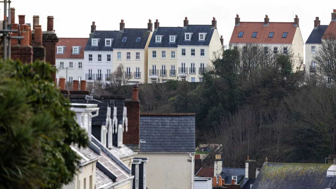 There were 816 local market properties sold across 2025, with 246 sold in the last quarter alone