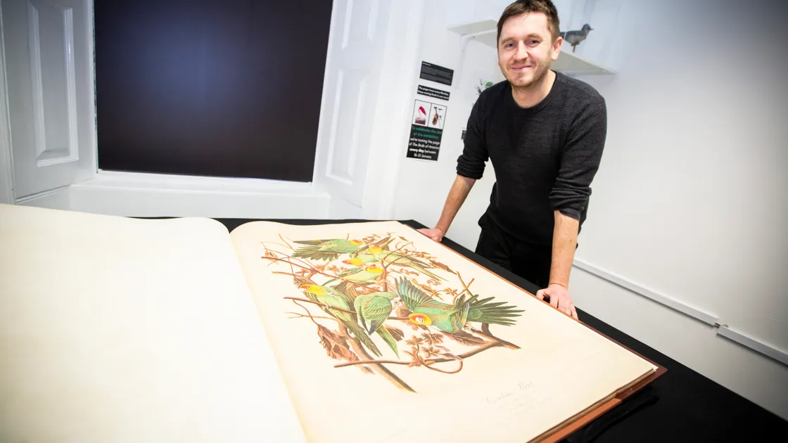 Adam Bayfield, head of marketing at the Guille-Alles Library, with his favourite painting from the The Birds of America book, Carolina Parrot. (Picture by Luke Le Prevost, 31696441)
