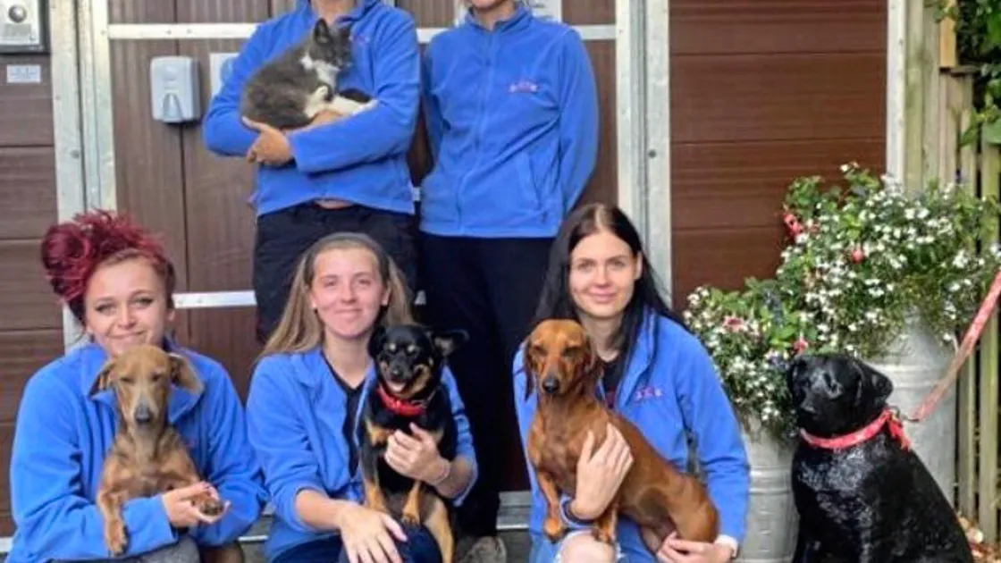 The Four Paws team. (29009486)