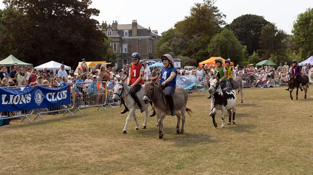 Donkey Derby trotting back this Saturday