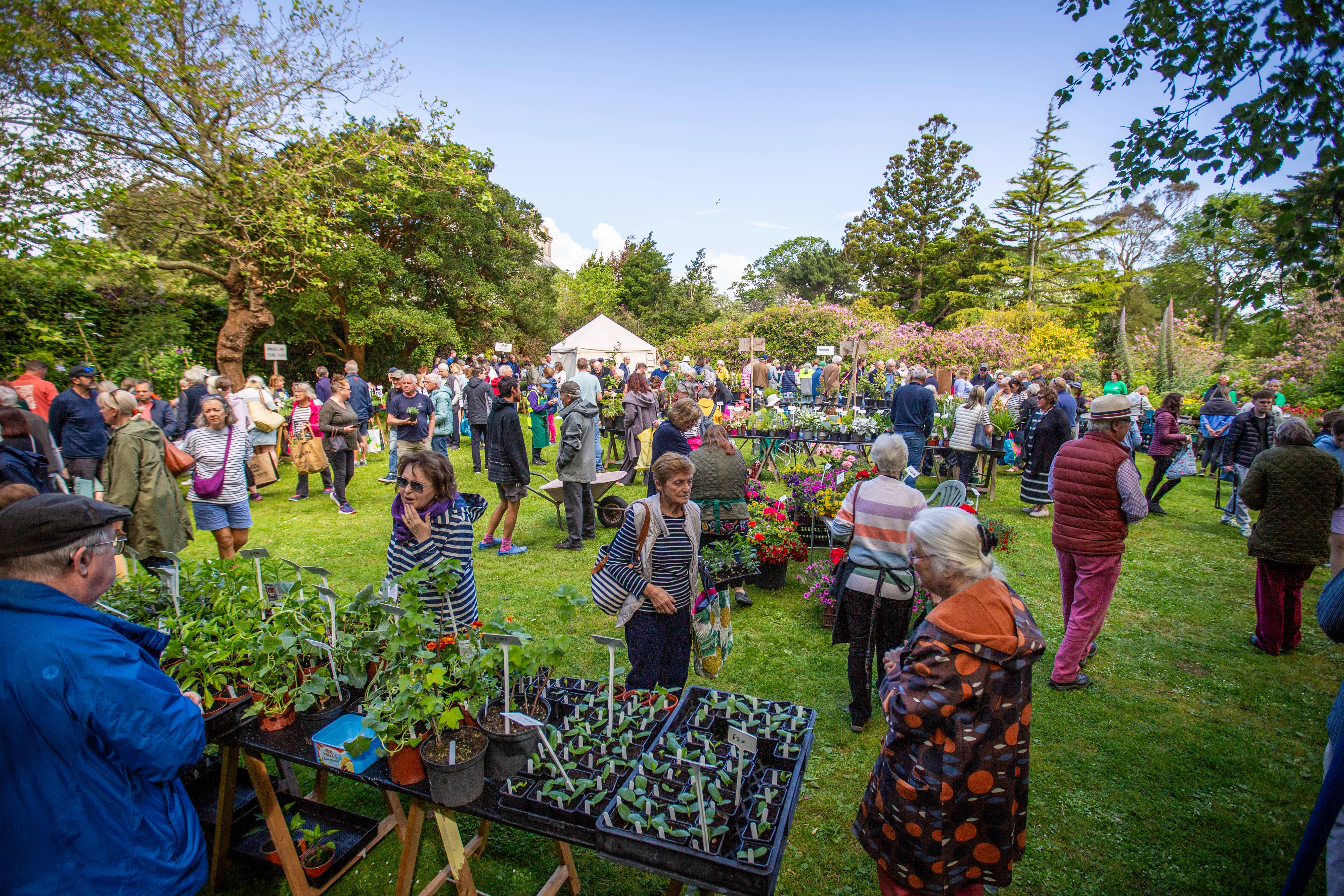 40 years of Plant Heritage Guernsey
