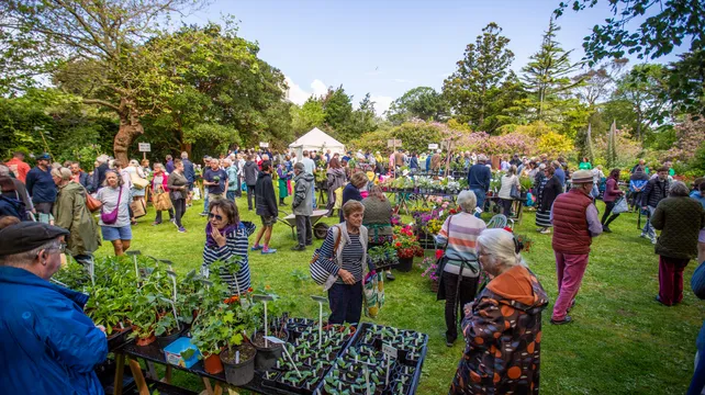 40 years of Plant Heritage Guernsey