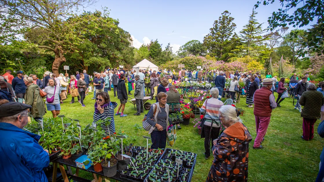 Giant Plant Sale at Sausmarez Manor in May 2024