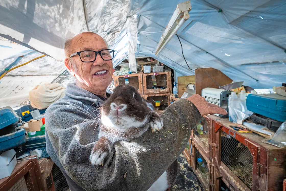 Rabbit owner told he needs to rehome most of his pets