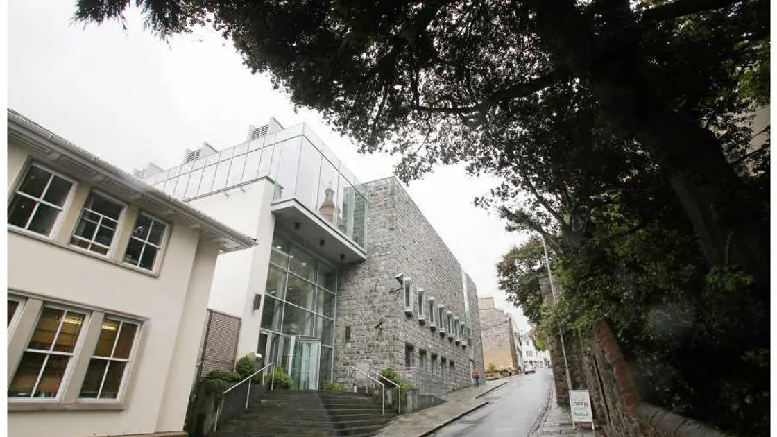 Director who fled island with seized Ferrari faces jail term