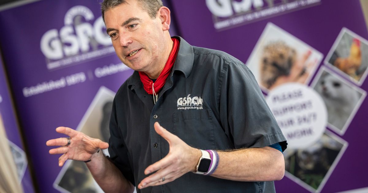 Gspca issues a warning about buying pets online