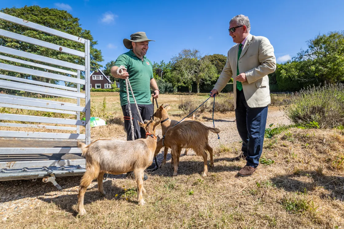 Lt-Governor Sir Richard Cripwell, who has supported the conservation of the Royal Golden Guernsey Goat, was present for the arrival of the goats and led the first one into the field.